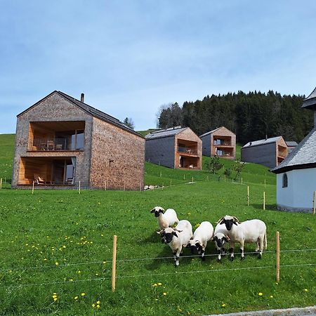 Apartment Rheintal Im Alpenvorland Batschuns Kültér fotó
