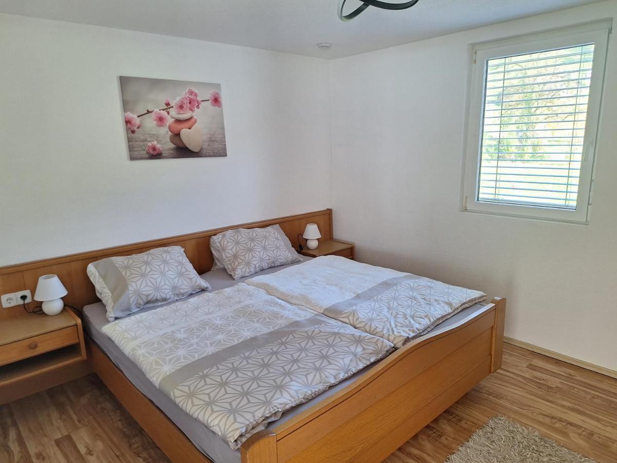 Apartment Rheintal Im Alpenvorland Batschuns Kültér fotó