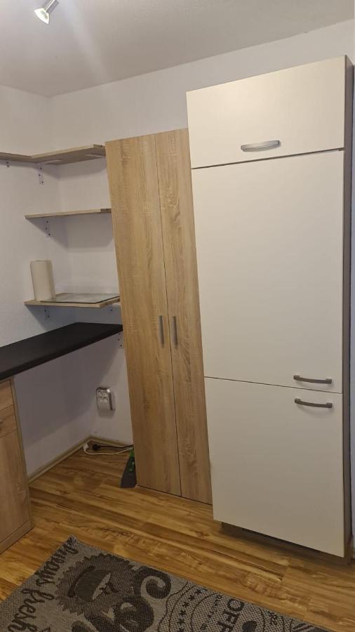 Apartment Rheintal Im Alpenvorland Batschuns Kültér fotó