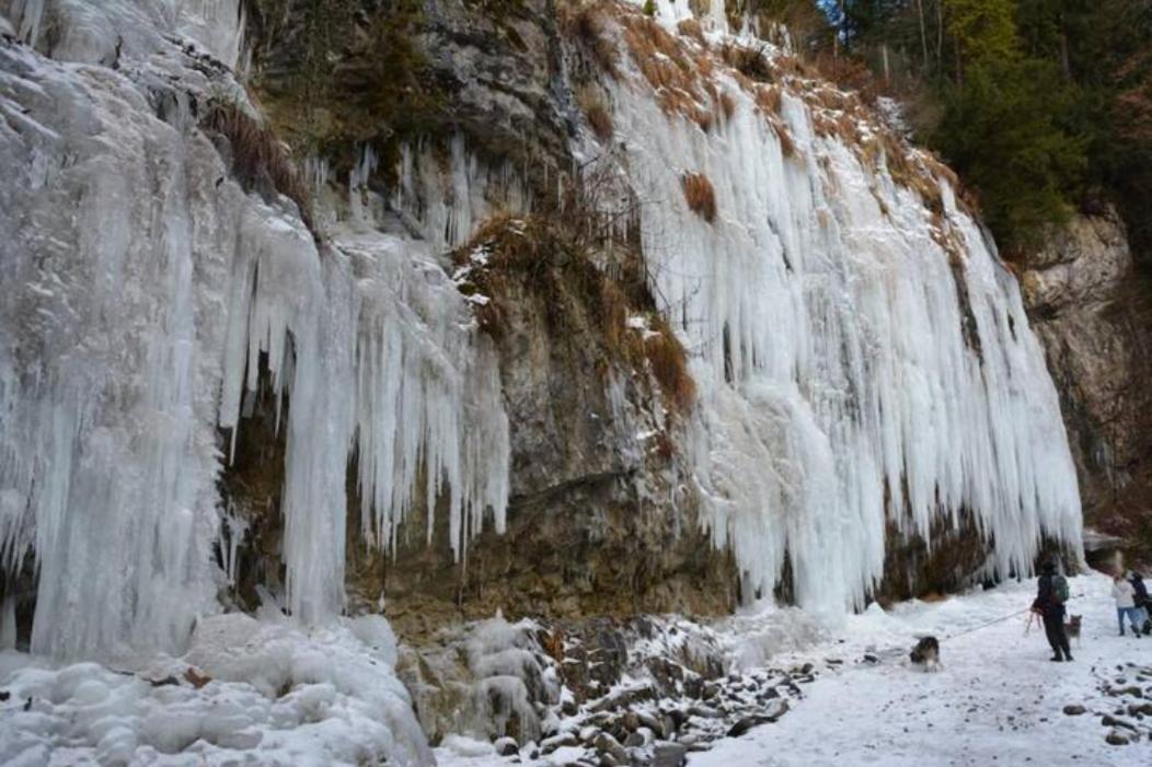 Apartment Rheintal Im Alpenvorland Batschuns Kültér fotó