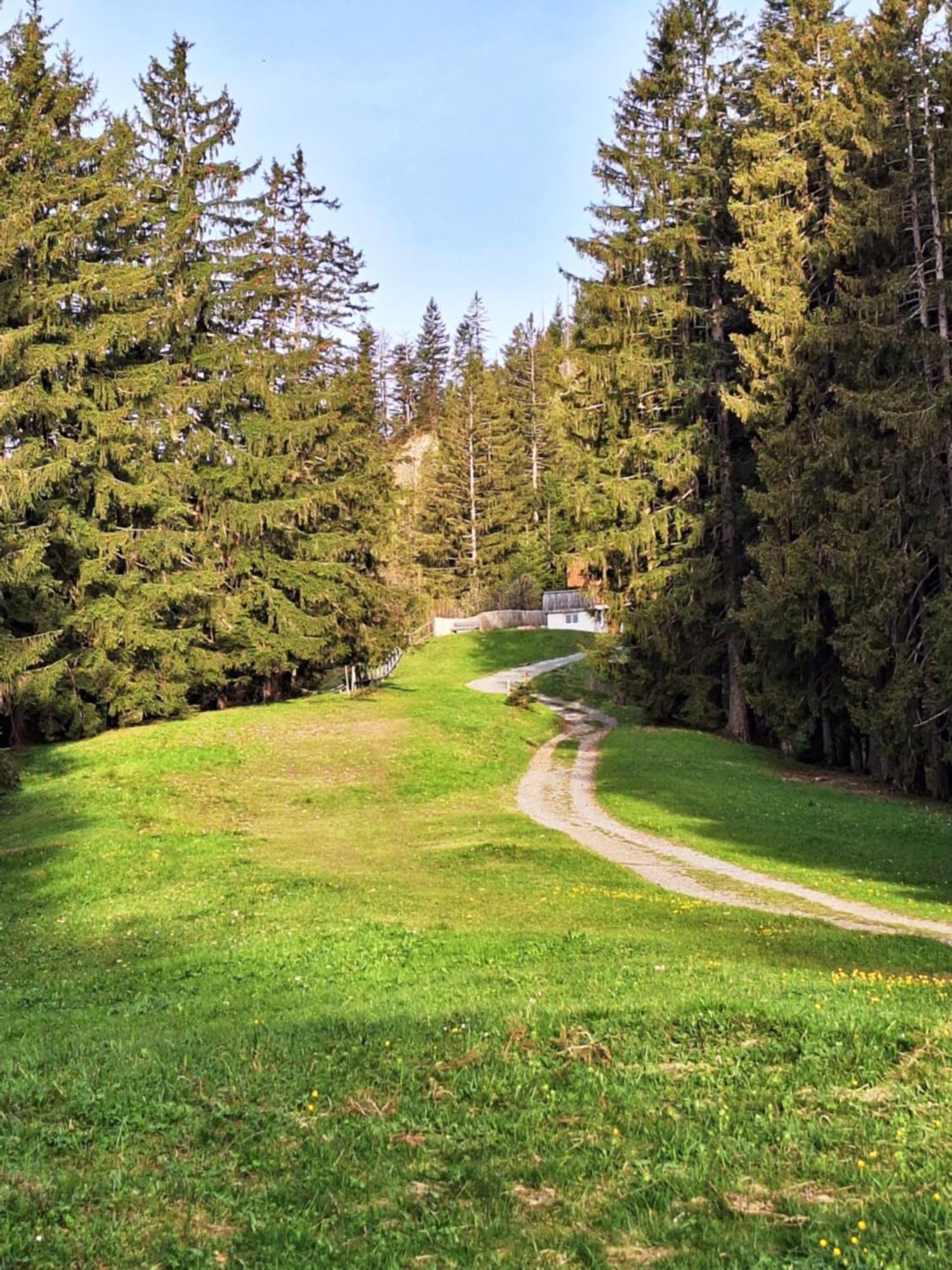 Apartment Rheintal Im Alpenvorland Batschuns Kültér fotó