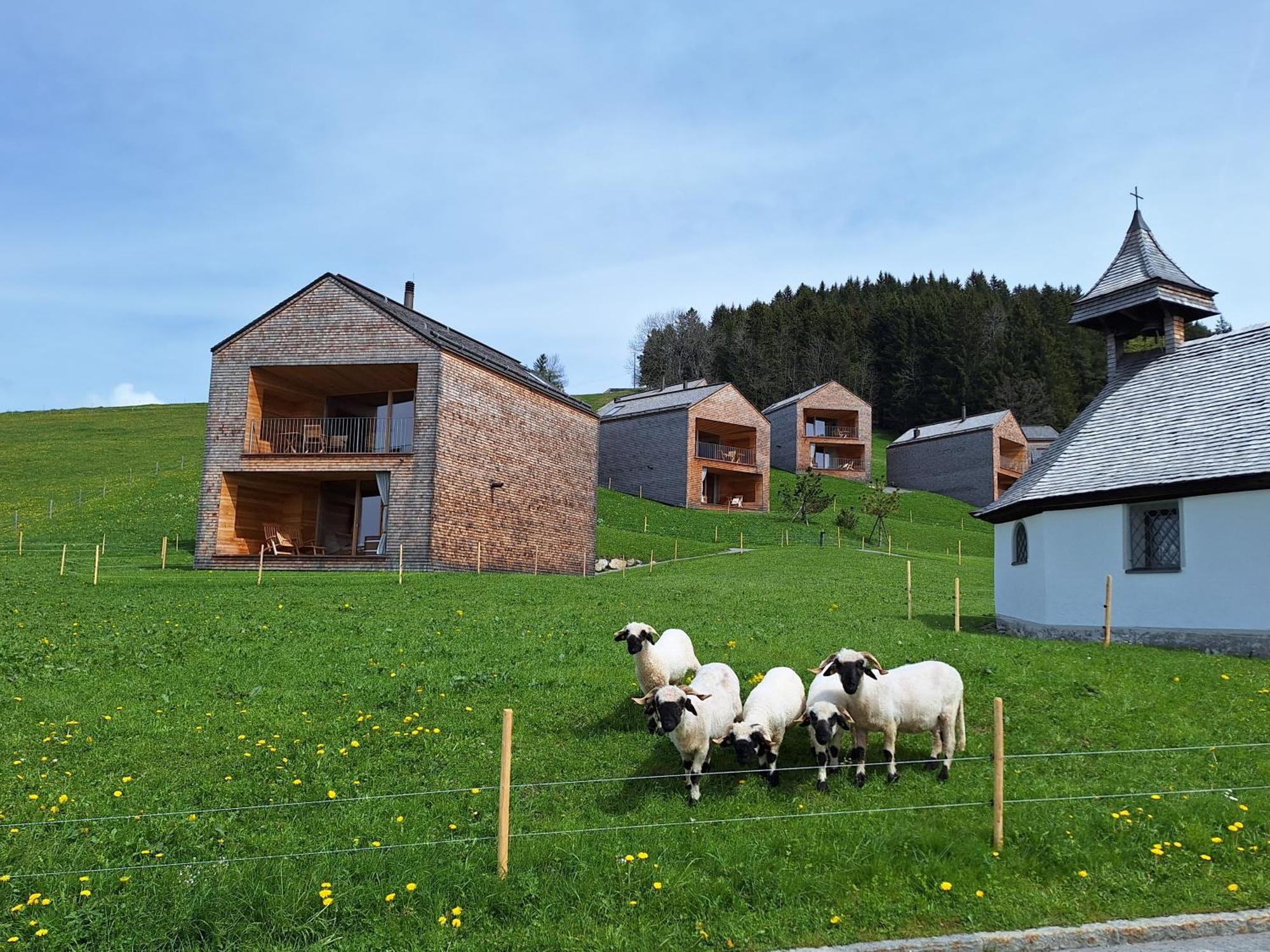 Apartment Rheintal Im Alpenvorland Batschuns Kültér fotó