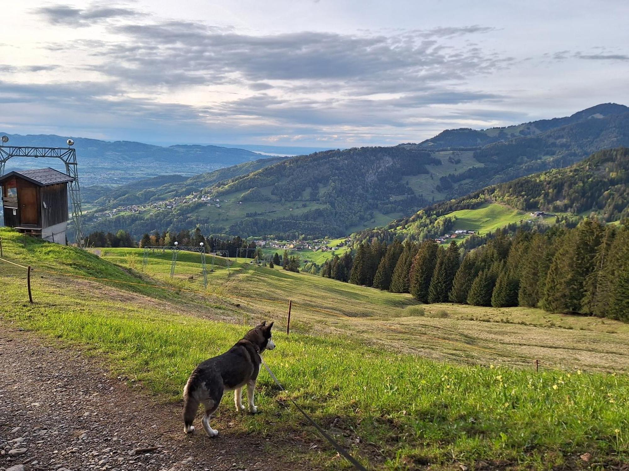 Apartment Rheintal Im Alpenvorland Batschuns Kültér fotó