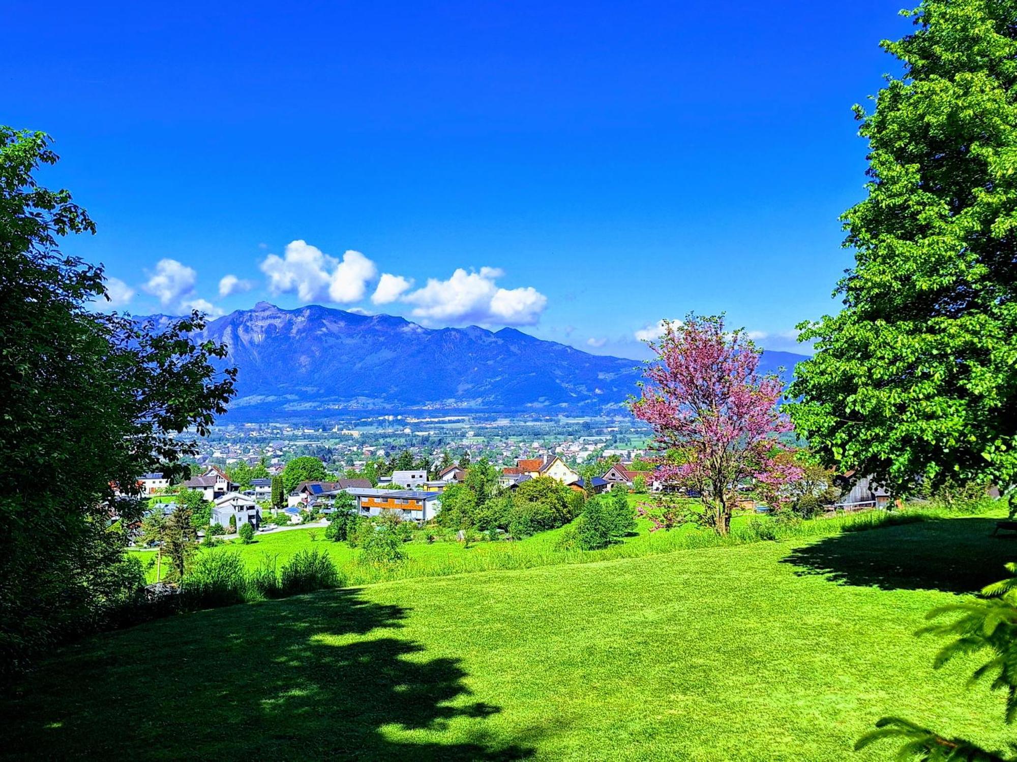 Apartment Rheintal Im Alpenvorland Batschuns Kültér fotó